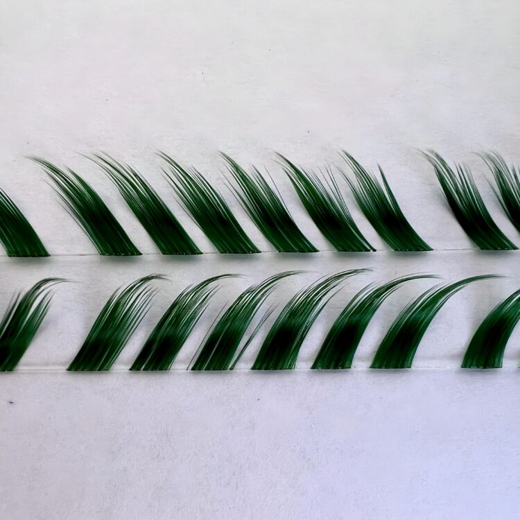 مژه فاکس رنگی
