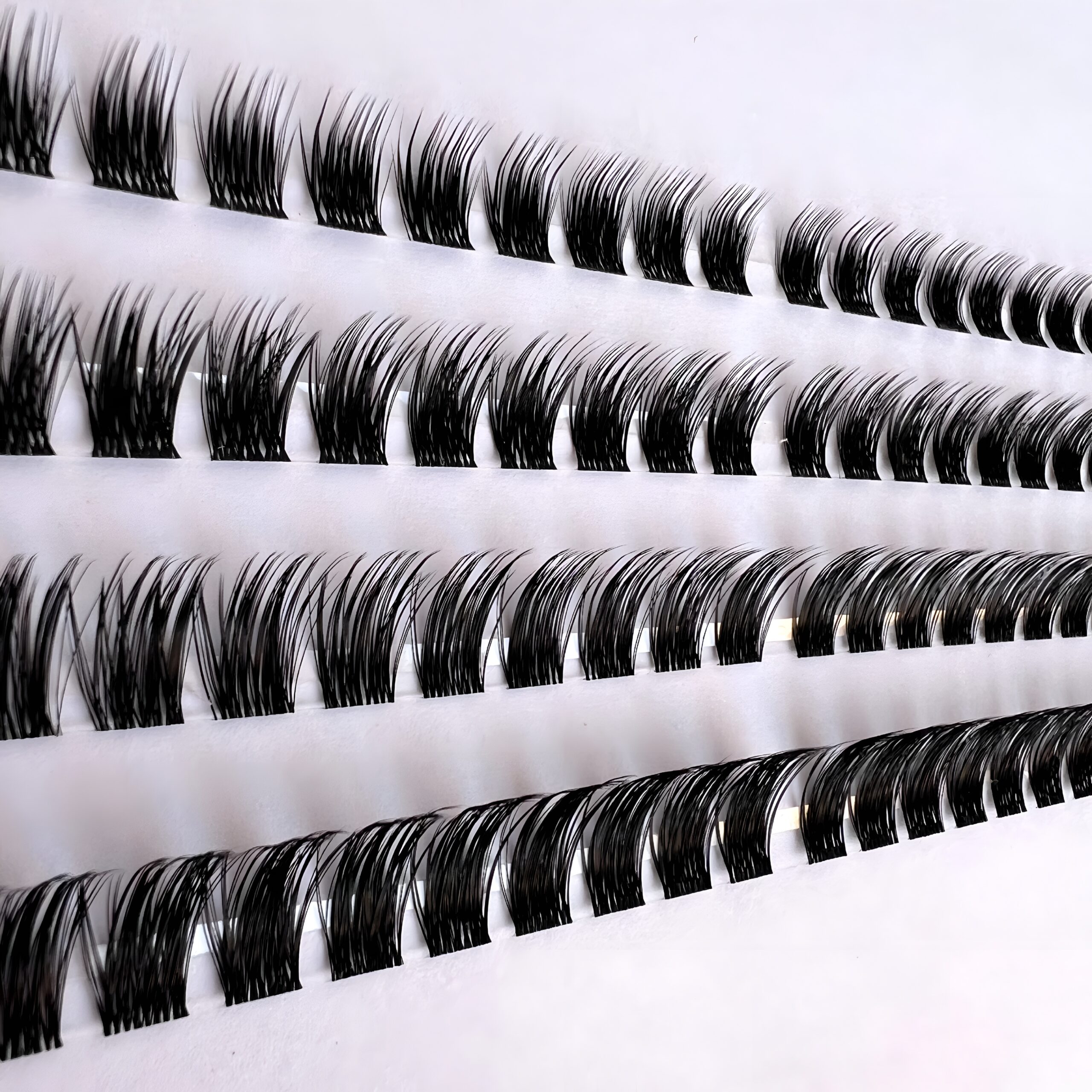 مژه ویکتوریا