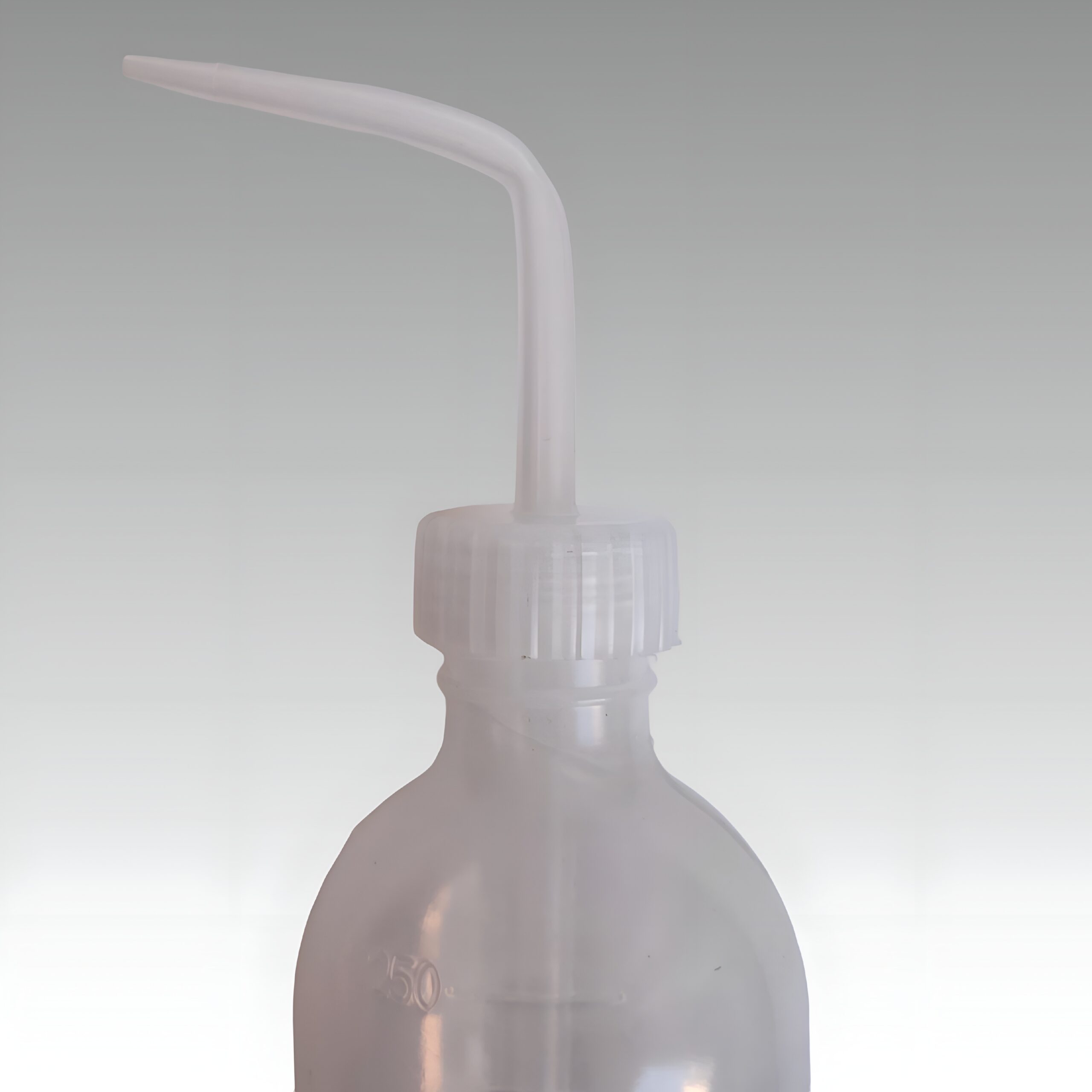 پیست شستوشو مژه